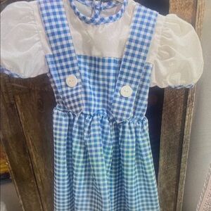 Blue and White Gingham Kids Costume
